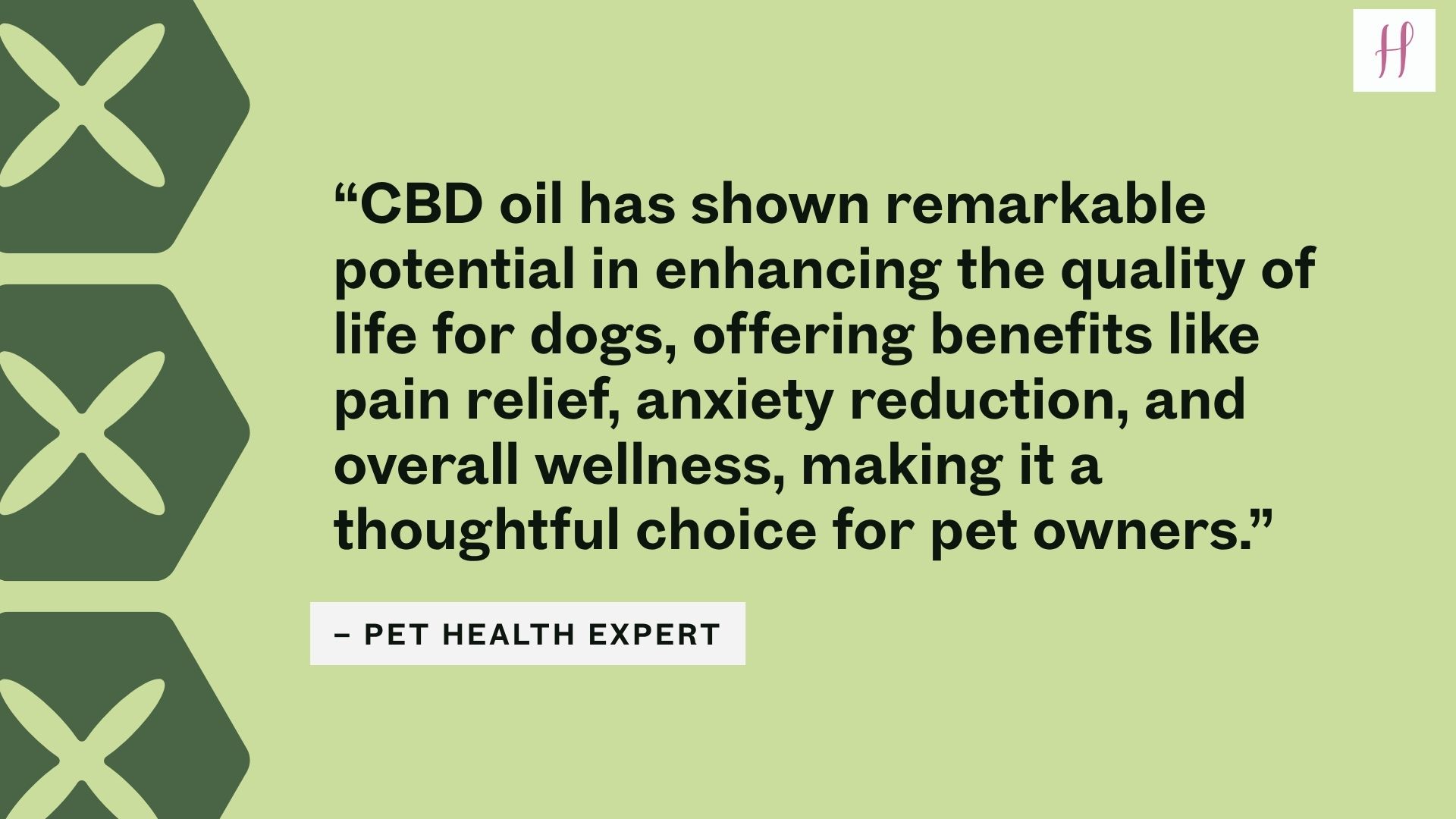 cbd oil for dogs buy online